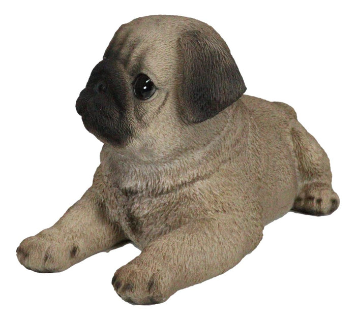Ebros Gift Lifelike Adorable Fawn Pug Puppy Dog Lying On Belly Figurine Pugsy Pet Pal Decor
