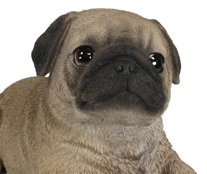 Ebros Gift Lifelike Adorable Fawn Pug Puppy Dog Lying On Belly Figurine Pugsy Pet Pal Decor