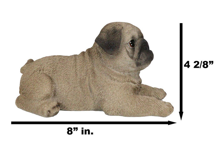 Ebros Gift Lifelike Adorable Fawn Pug Puppy Dog Lying On Belly Figurine Pugsy Pet Pal Decor