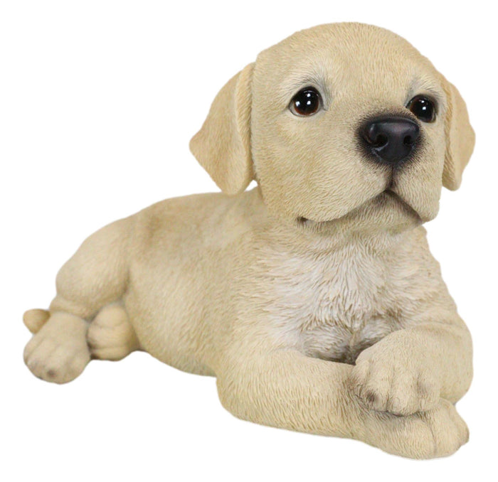 Ebros Gift Lifelike Adorable Labrador Puppy Dog Lying On Belly With Crossed Arms Figurine