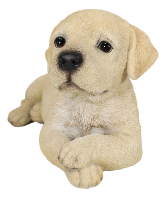 Ebros Gift Lifelike Adorable Labrador Puppy Dog Lying On Belly With Crossed Arms Figurine