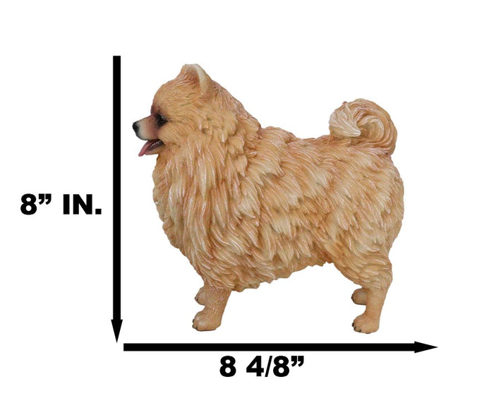 Ebros Gift Lifelike Adorable Pet Pal Pomeranian Puppy Dog Standing Figurine