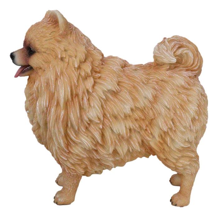 Ebros Gift Lifelike Adorable Pet Pal Pomeranian Puppy Dog Standing Figurine