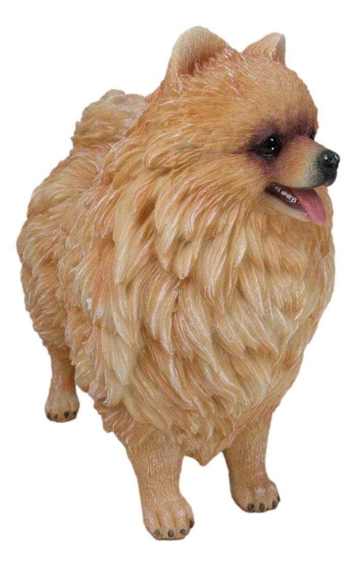 Ebros Gift Lifelike Adorable Pet Pal Pomeranian Puppy Dog Standing Figurine