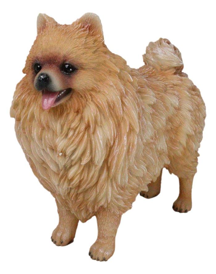 ebros gift Lifelike Adorable Pet Pal Pomeranian Puppy Dog Standing Figurine