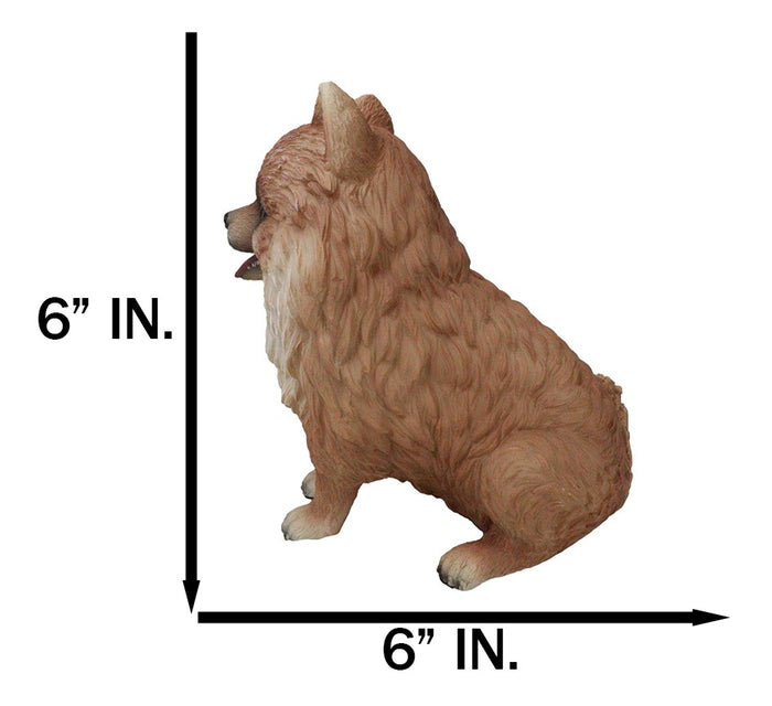 Ebros Gift Lifelike Adorable Pet Pal Sitting Pomeranian Spitz Puppy Dog Figurine 6"H