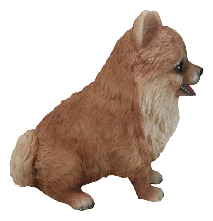 Ebros Gift Lifelike Adorable Pet Pal Sitting Pomeranian Spitz Puppy Dog Figurine 6"H