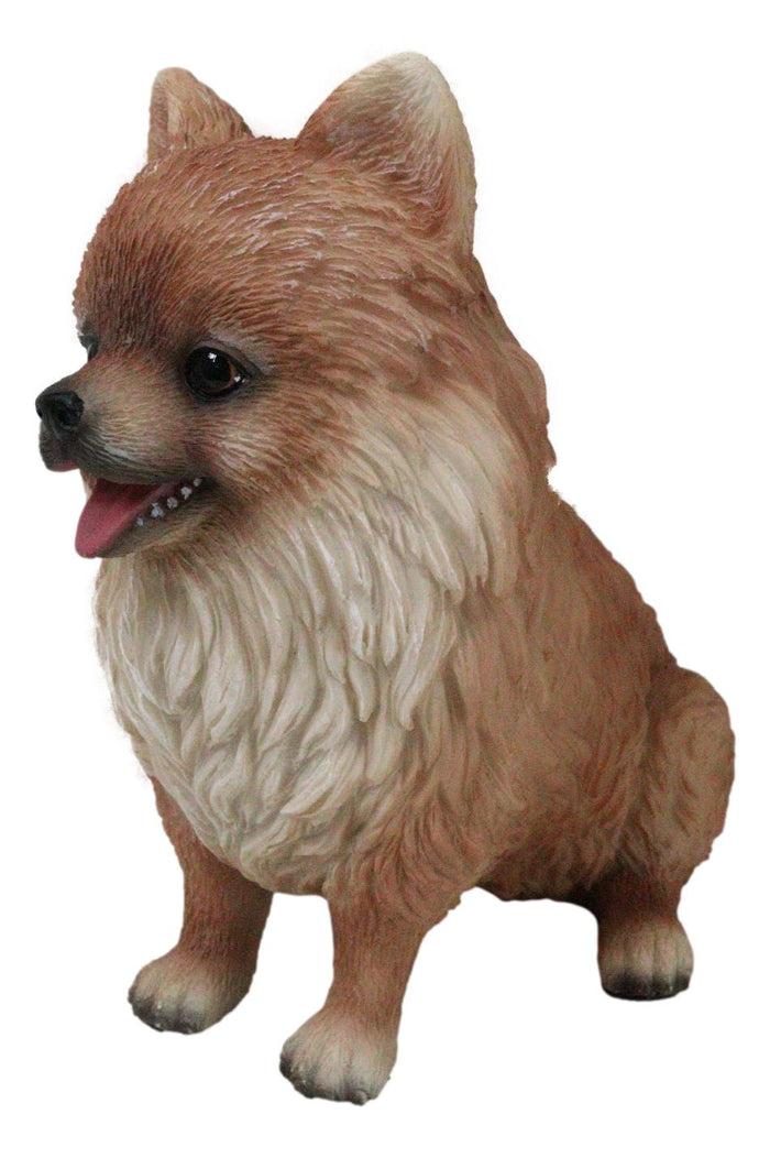 Ebros Gift Lifelike Adorable Pet Pal Sitting Pomeranian Spitz Puppy Dog Figurine 6"H