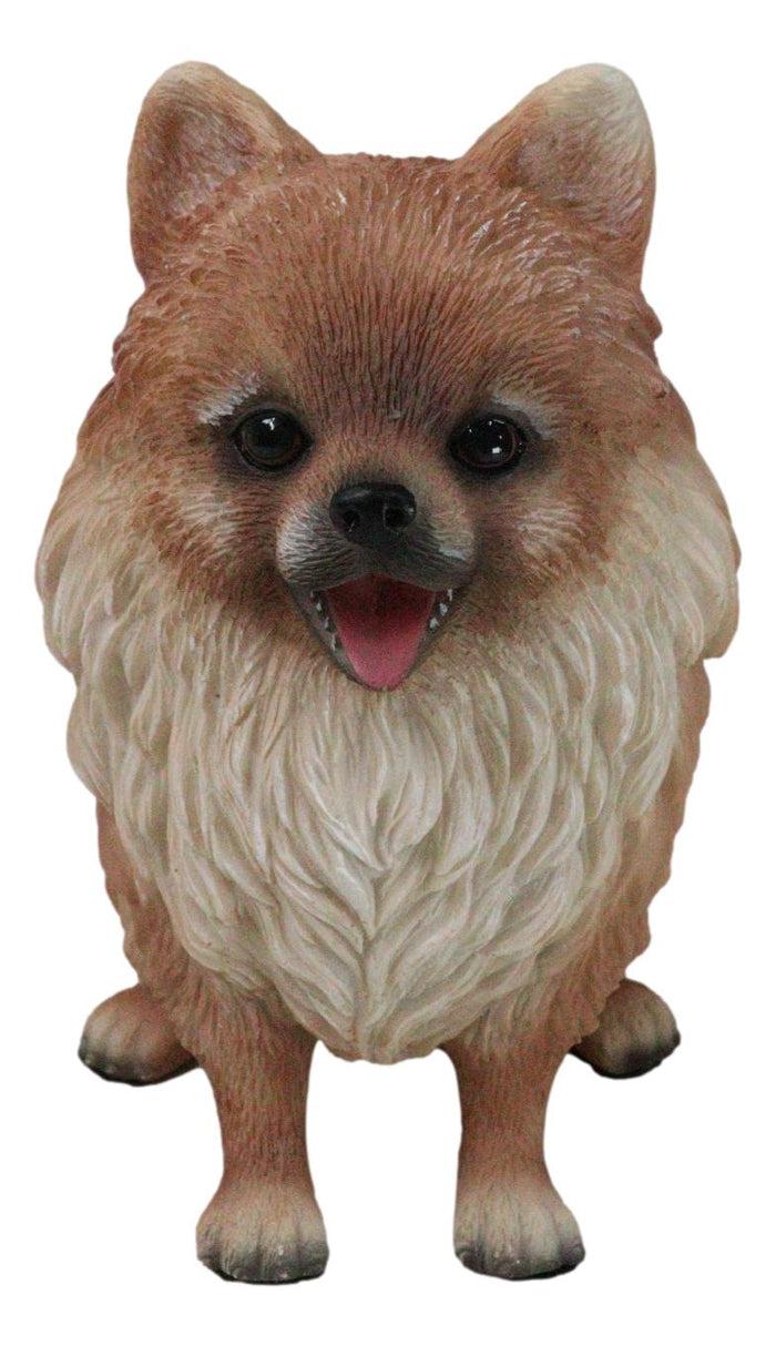 ebros gift Lifelike Adorable Pet Pal Sitting Pomeranian Spitz Puppy Dog Figurine 6"H