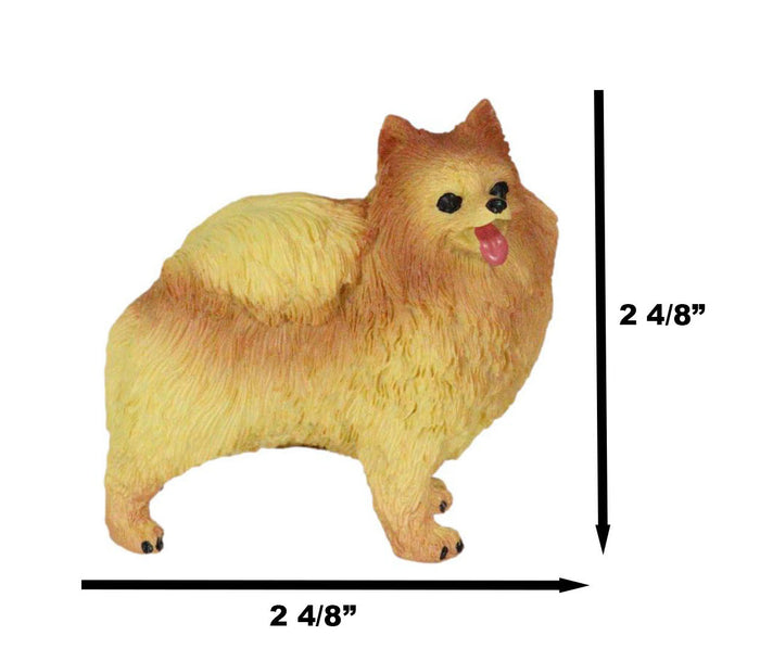 Ebros Gift Lifelike Adorable Pet Pal Well Groomed Pomeranian Puppy Dog Miniature Figurine