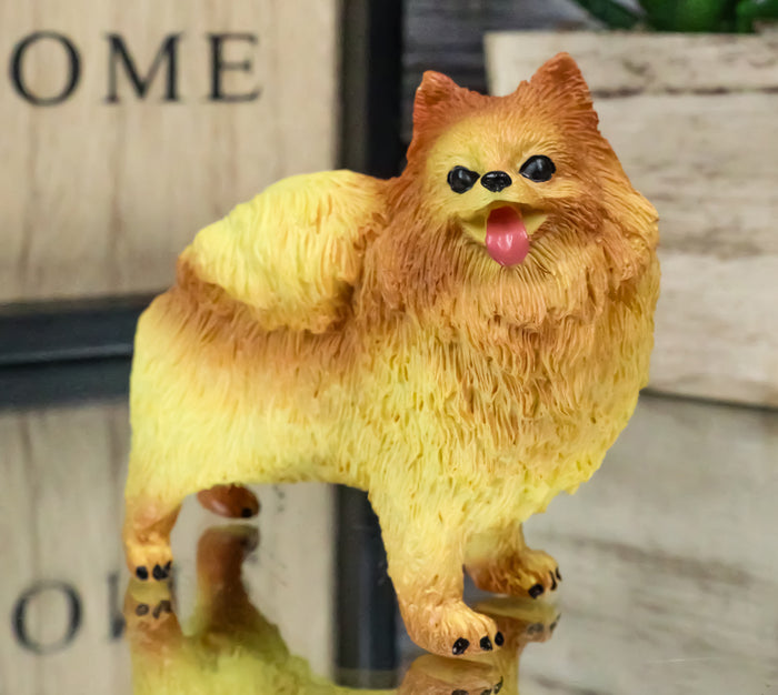 ebros gift Lifelike Adorable Pet Pal Well Groomed Pomeranian Puppy Dog Miniature Figurine