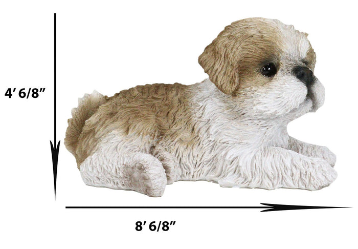Ebros Gift Lifelike Adorable Shih Tzu Dog At Rest With Glass Eyes Figurine Pet Pal Memorial
