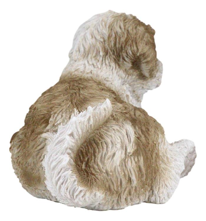 Ebros Gift Lifelike Adorable Shih Tzu Dog At Rest With Glass Eyes Figurine Pet Pal Memorial