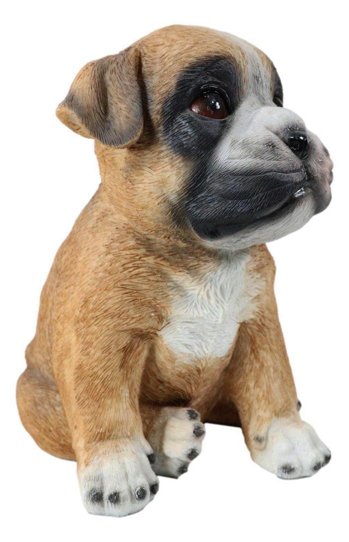 Ebros Gift Lifelike Fawn Boxer Puppy Dog Sitting Figurine Pet Pal Pedigree Dogs Canine