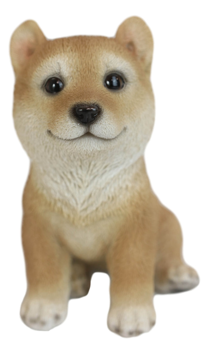 Ebros Gift Lifelike Realistic Japanese Shiba Inu Puppy Dog Figurine With Glass Eyes 5"H