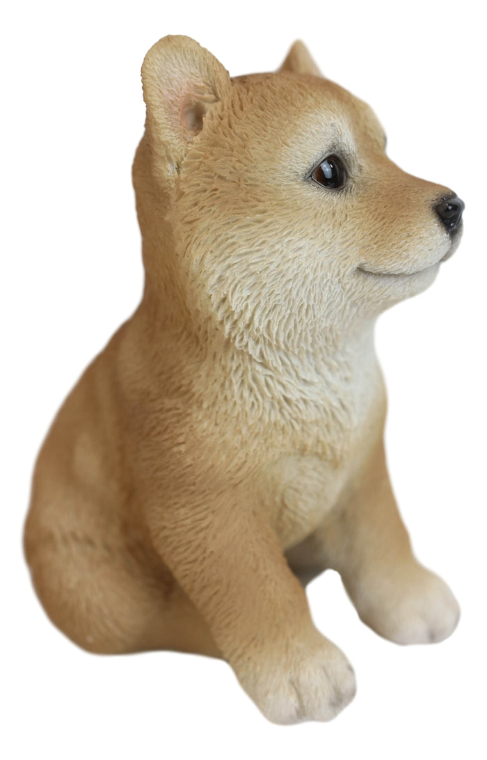 Ebros Gift Lifelike Realistic Japanese Shiba Inu Puppy Dog Figurine With Glass Eyes 5"H
