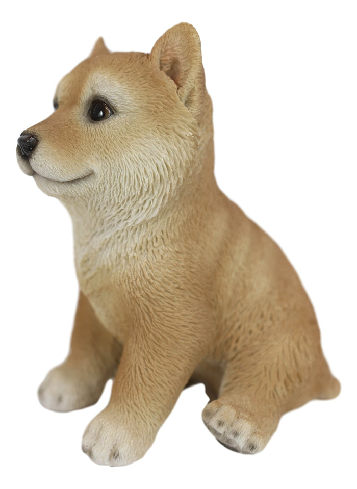 Ebros Gift Lifelike Realistic Japanese Shiba Inu Puppy Dog Figurine With Glass Eyes 5"H