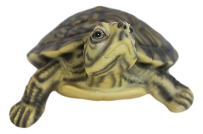 Ebros Gift Lifelike Yellow Bellied Slider Turtle Tortoise Figurine 4.75"L Zen Feng Shui
