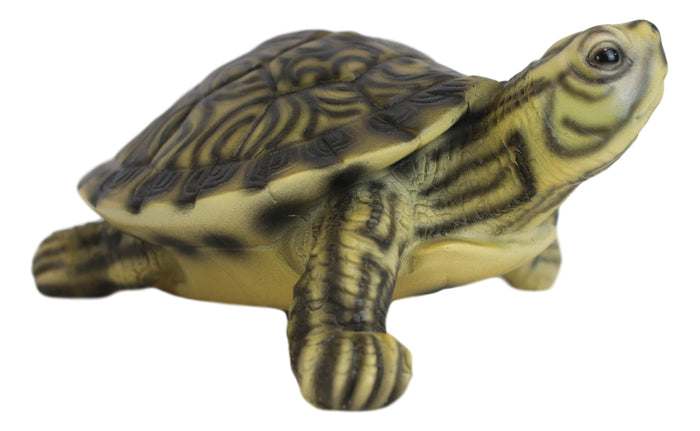 Ebros Gift Lifelike Yellow Bellied Slider Turtle Tortoise Figurine 4.75"L Zen Feng Shui