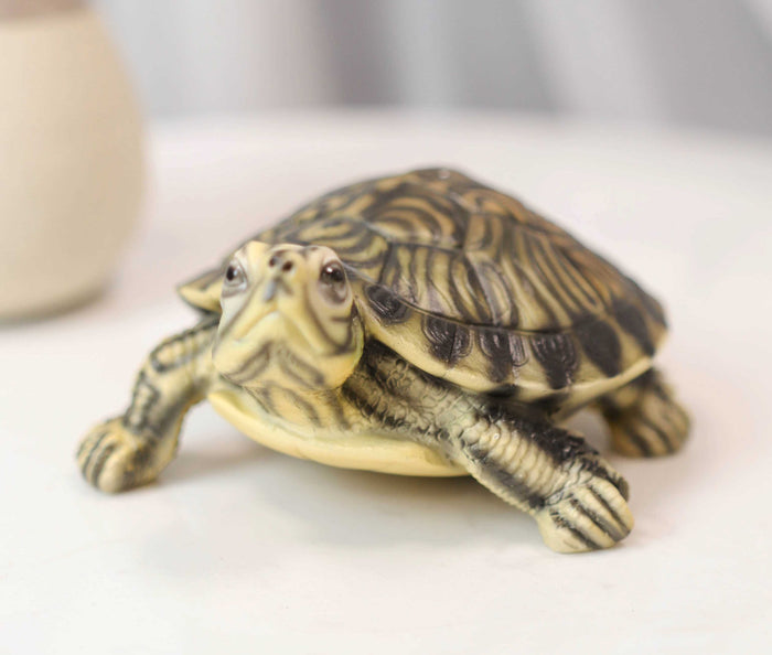 Ebros Gift Lifelike Yellow Bellied Slider Turtle Tortoise Figurine 4.75"L Zen Feng Shui