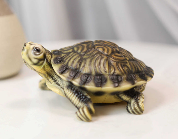 ebros gift Lifelike Yellow Bellied Slider Turtle Tortoise Figurine 4.75"L Zen Feng Shui