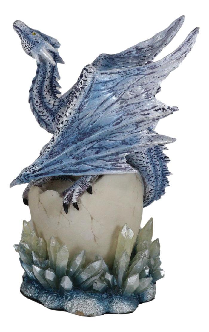 Ebros Gift Luna Shylo Arctic Frost Dragon Emerging From Frozen Crystal Egg Hatchling Statue