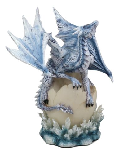 Ebros Gift Luna Shylo Arctic Frost Dragon Emerging From Frozen Crystal Egg Hatchling Statue