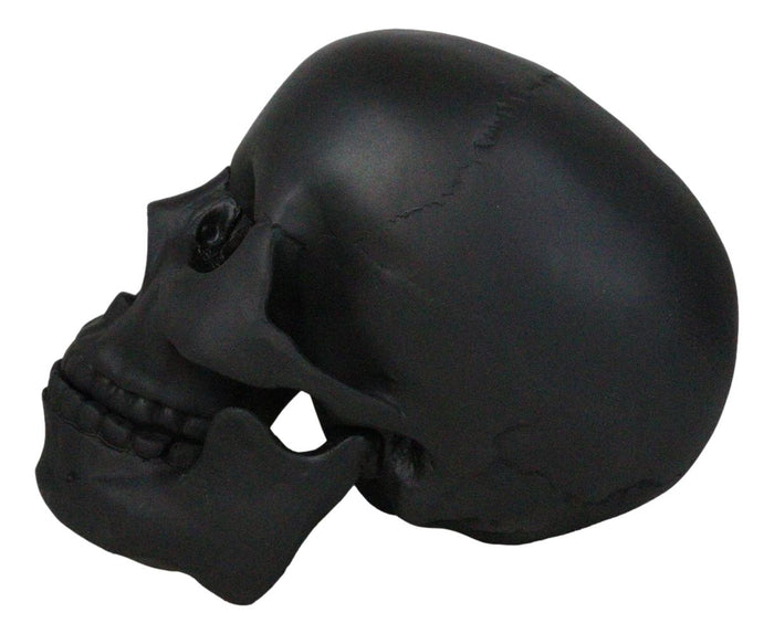 Ebros Gift Macabre Goth Ghost Black Homosapien Replica Skull With Movable Jaw Bone Figurine