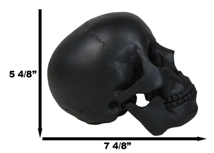 Ebros Gift Macabre Goth Ghost Black Homosapien Replica Skull With Movable Jaw Bone Figurine