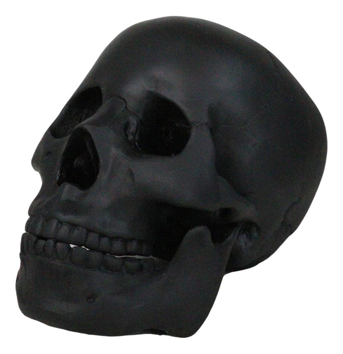 Ebros Gift Macabre Goth Ghost Black Homosapien Replica Skull With Movable Jaw Bone Figurine