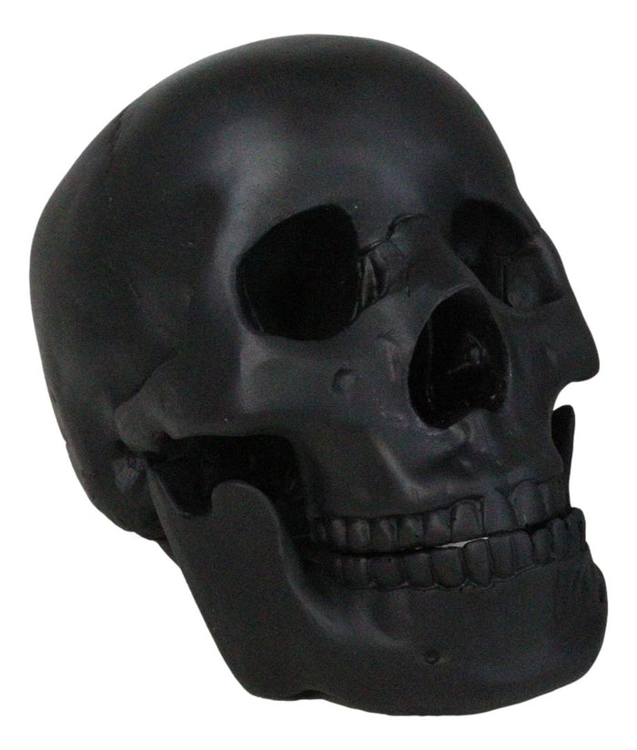 ebros gift Macabre Goth Ghost Black Homosapien Replica Skull With Movable Jaw Bone Figurine