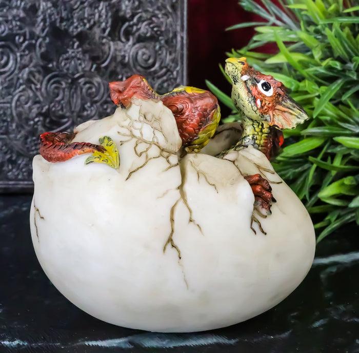 ebros gift Magmatite Pyre Dragon Hatchling Resting On Egg Shell Figurine Myth & Legends