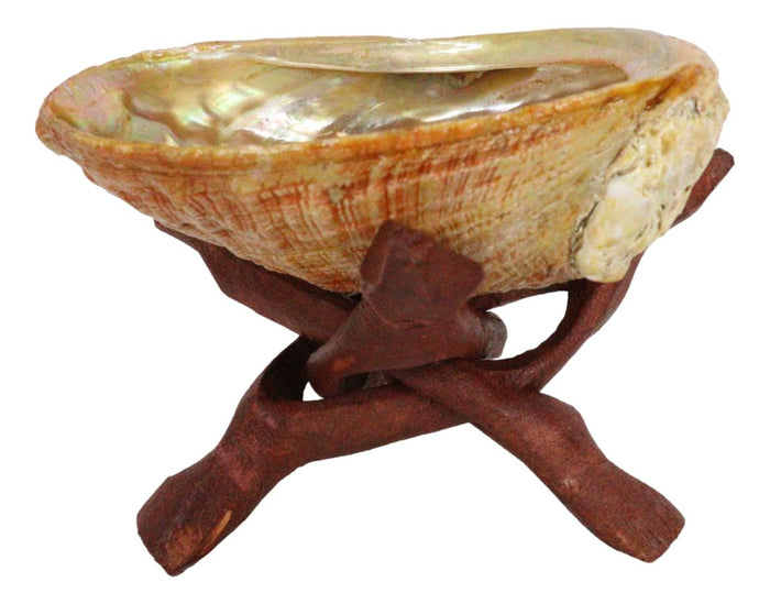 Ebros Gift Marine Natural Abalone Shell On Accent Wood Tripod Stand Jewelry Incense Holder