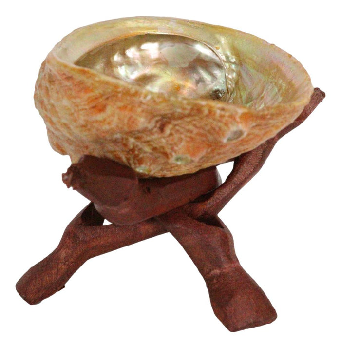 Ebros Gift Marine Natural Abalone Shell On Accent Wood Tripod Stand Jewelry Incense Holder
