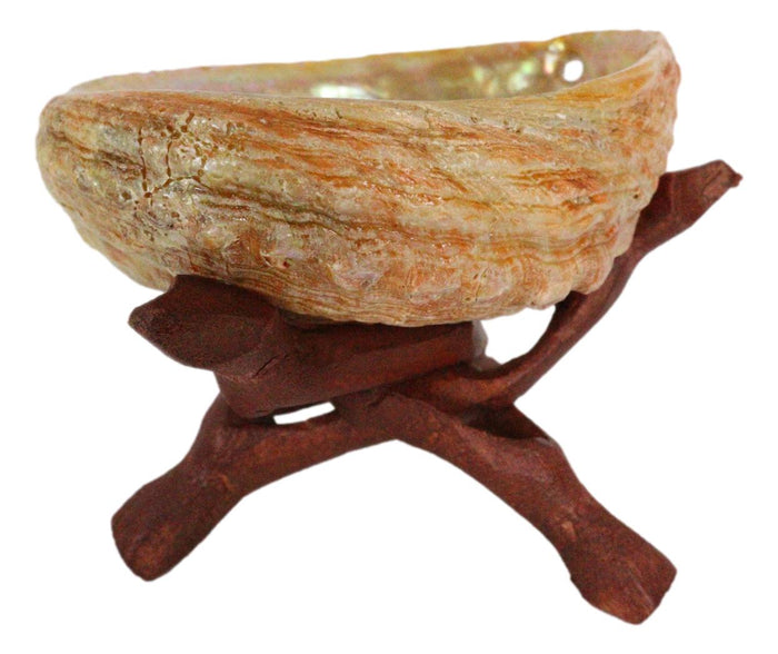 Ebros Gift Marine Natural Abalone Shell On Accent Wood Tripod Stand Jewelry Incense Holder