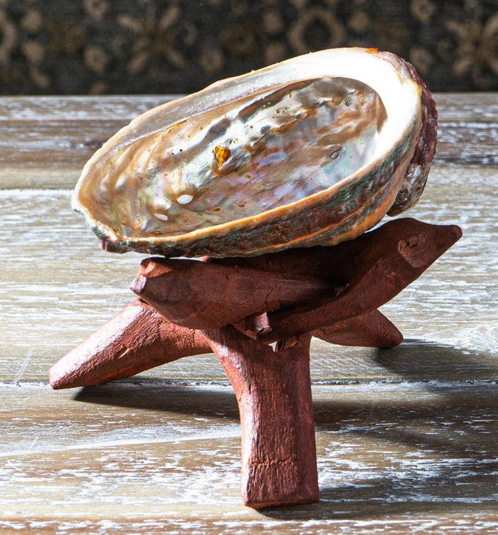 ebros gift Marine Natural Abalone Shell On Accent Wood Tripod Stand Jewelry Incense Holder