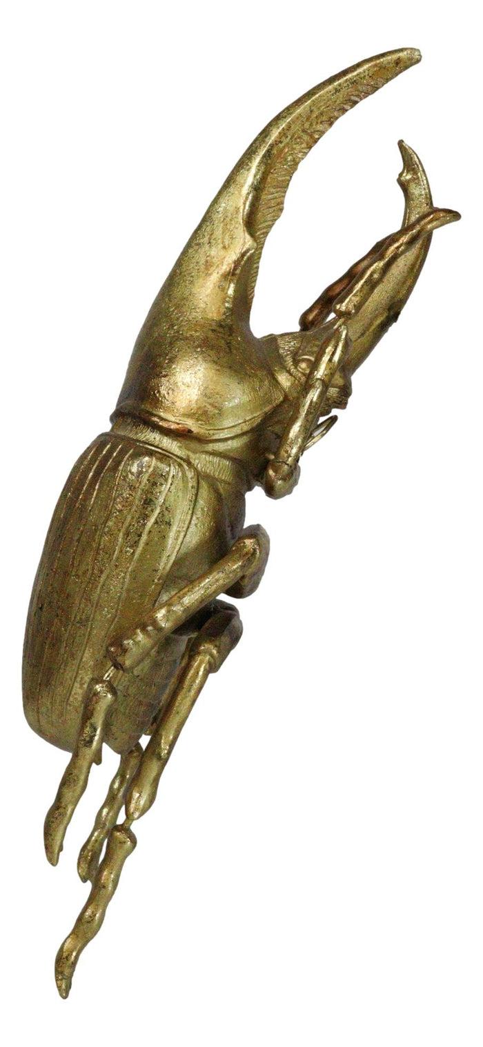 Ebros Gift Medium Gold Resin Hercules Rhinoceros Beetle Wall Decor Or Tabletop Figurine