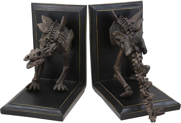 Ebros Gift Museum Gallery Quality Prehistoric Stegosaurus Dinosaur Fossil Skeleton Bookends