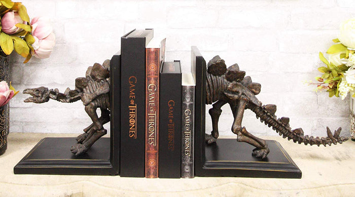 ebros gift Museum Gallery Quality Prehistoric Stegosaurus Dinosaur Fossil Skeleton Bookends