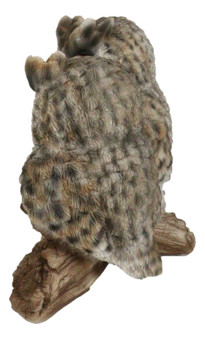 Ebros Gift Mystical Forest Great Horned Owlet Owl Birds Couple Pair On Tree Branch Statue