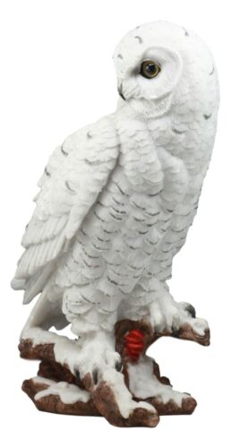 Ebros Gift Mystical White Snow Owl Bird Statue 12.25"Tall Nocturnal Bird Wildlife Owl Decor