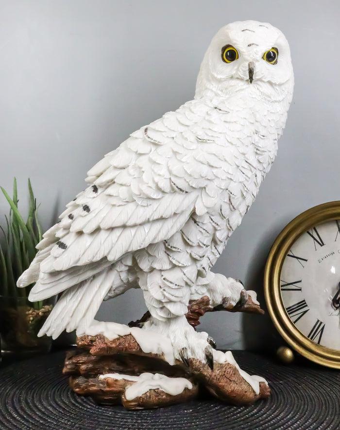 ebros gift Mystical White Snow Owl Bird Statue 12.25"Tall Nocturnal Bird Wildlife Owl Decor