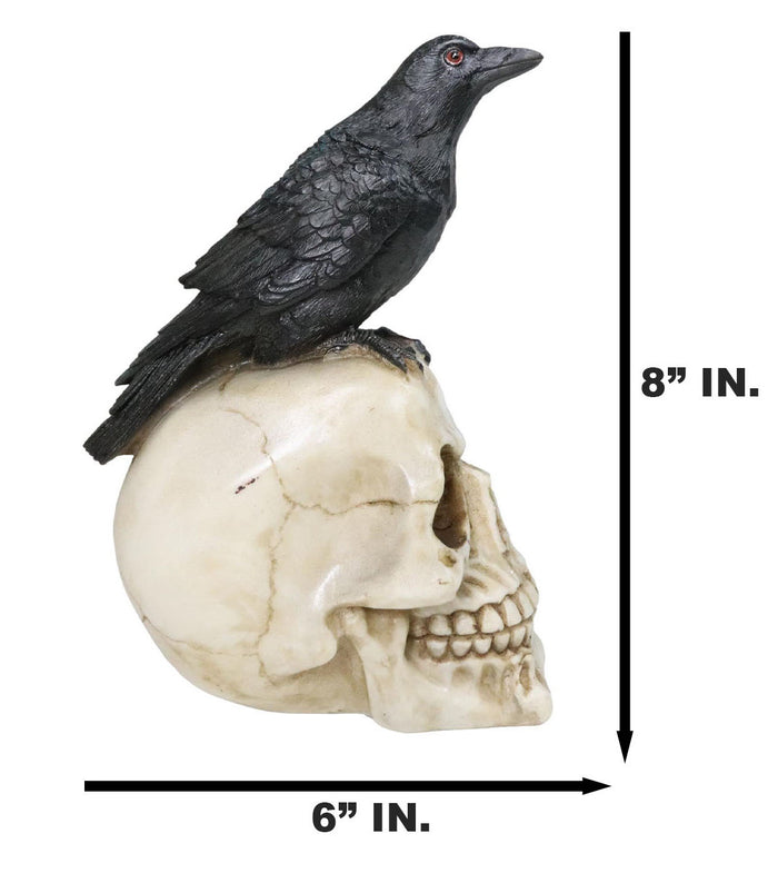 Ebros Gift Myth And Legends Black Odin Raven Crow Perching On Skull Decorative Figurine