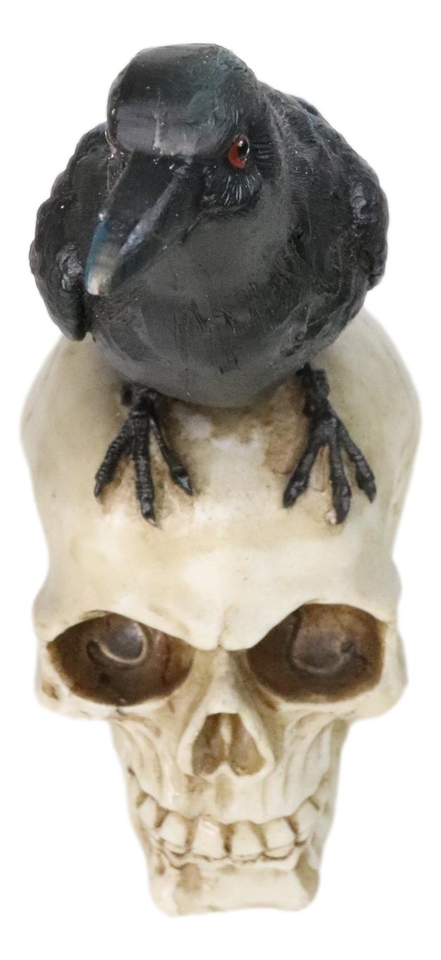 Ebros Gift Myth And Legends Black Odin Raven Crow Perching On Skull Decorative Figurine