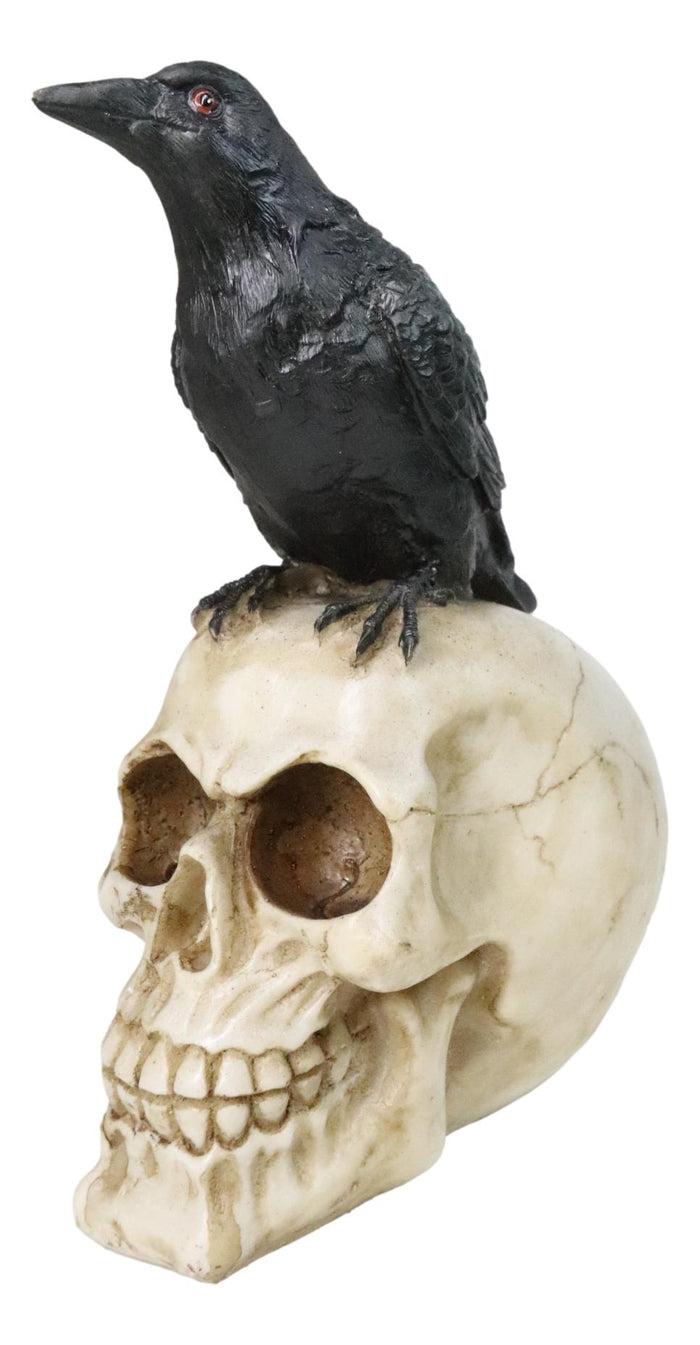 Ebros Gift Myth And Legends Black Odin Raven Crow Perching On Skull Decorative Figurine