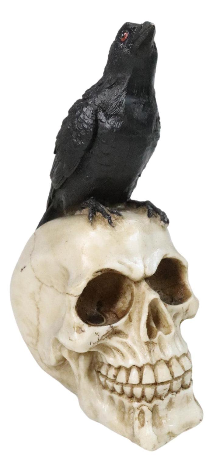 ebros gift Myth and Legends Black Odin Raven Crow Perching On Skull Decorative Figurine
