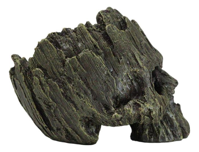 Ebros Gift Mythical Greenman Tree Ent Skull Resin Bowl Garden Planter Figurine 7"Long