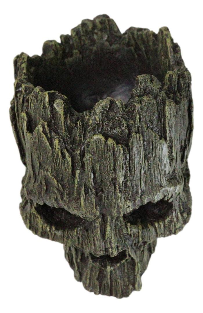 Ebros Gift Mythical Greenman Tree Ent Skull Resin Bowl Garden Planter Figurine 7"Long