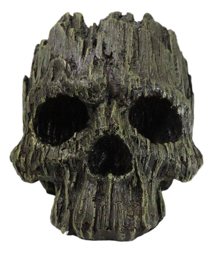 ebros gift Mythical Greenman Tree Ent Skull Resin Bowl Garden Planter Figurine 7"Long