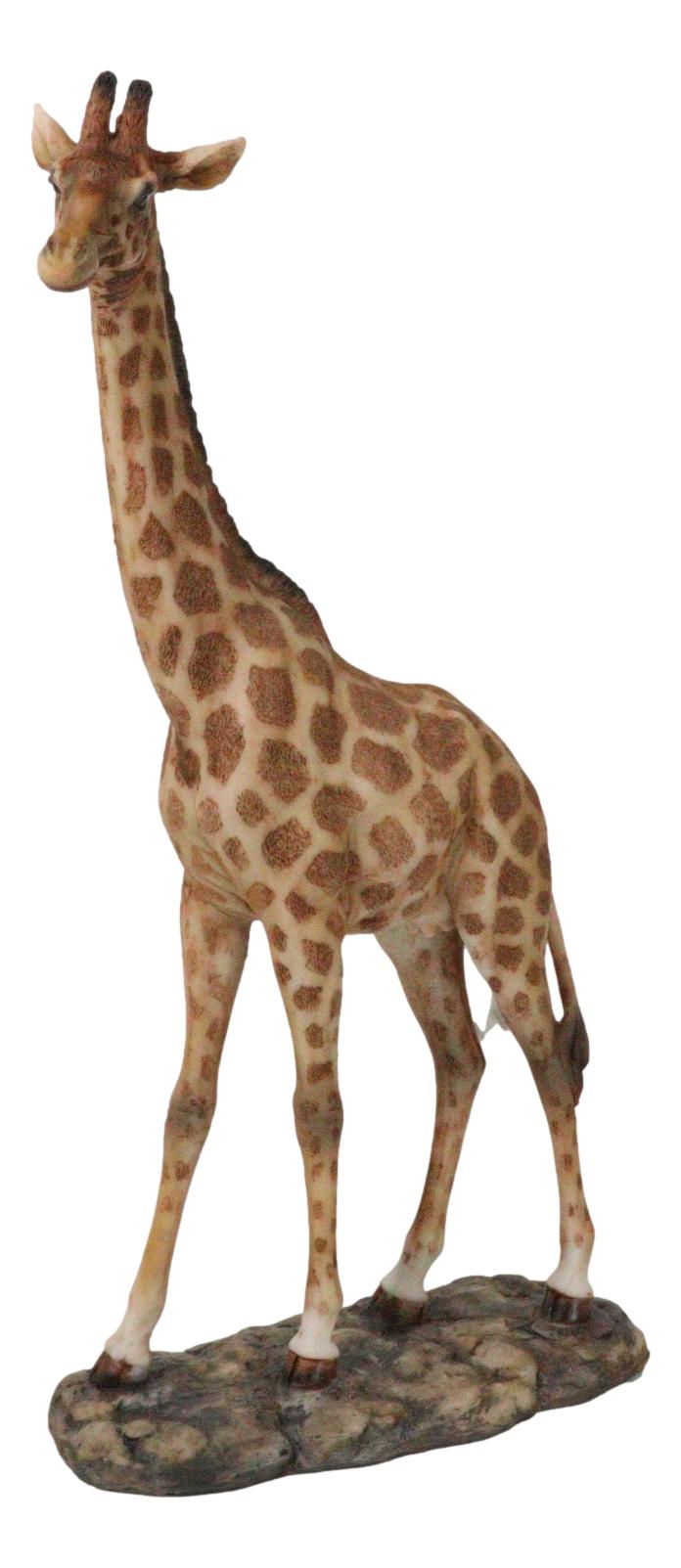 Ebros Gift Nature Wildlife Realistic Safari Savannah Masai Giraffe Standing Figurine